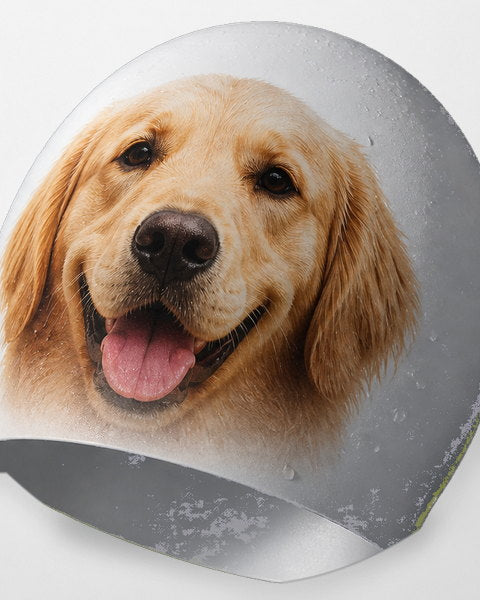 Pet portrait printed on a swim cap